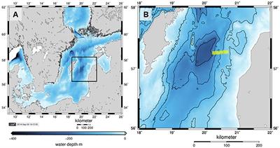 Microbial Sulfide Filter along a Benthic Redox Gradient in the Eastern Gotland Basin, Baltic Sea